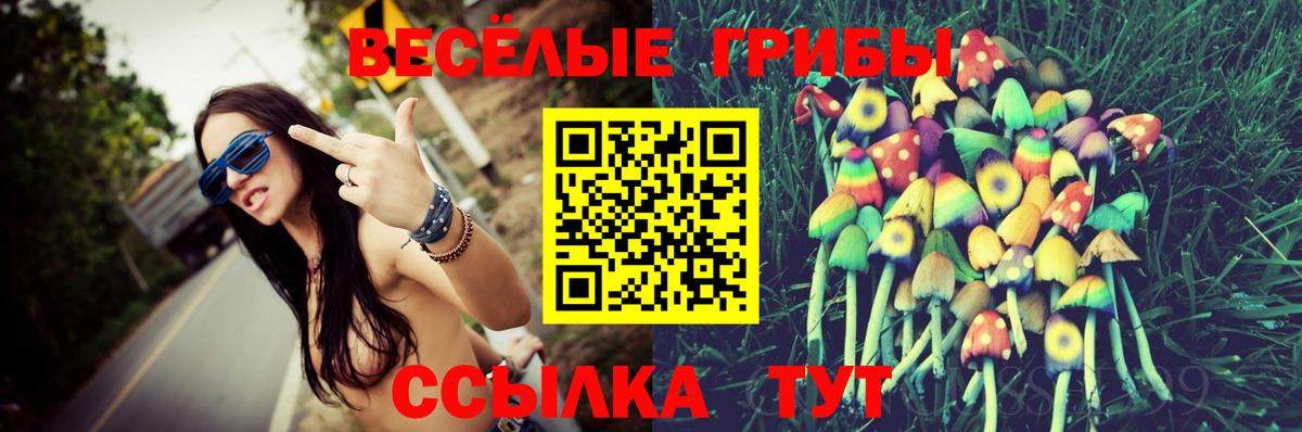 Шумерля  Галлюциногенные грибы прущие грибы  Вход с VPN 